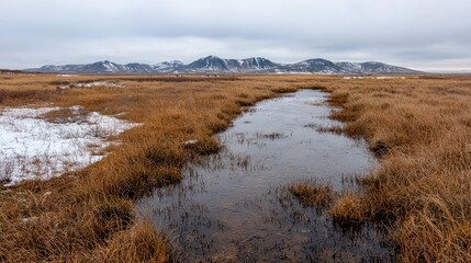 Icelandic winter landscape stream through plains, mountains backdrop, travel photography