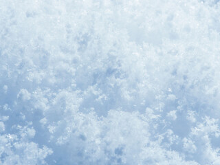 降り積もったばかりの新雪のアップ29