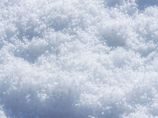 降り積もったばかりの新雪37