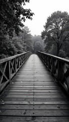 Obraz premium Elegant monochrome bridge, weathered wood planks, weathered, arch, light