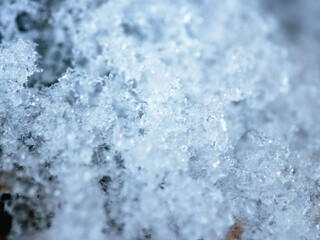 苔の上で雪が溶けて凍りつくアップ01
