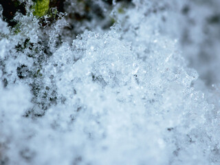 苔の上で雪が溶けて凍りつくアップ03