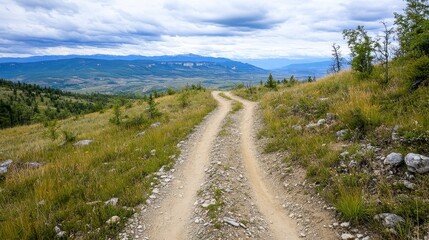 Gravel Road Through Grassy Hillside Leading to Distant Mountains