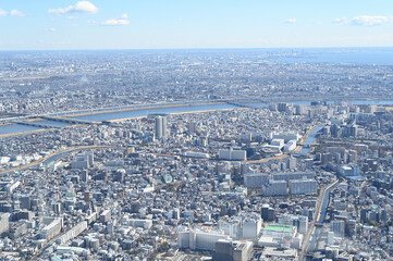 スカイツリーからの東京展望