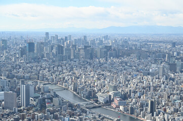 スカイツリーからの東京展望