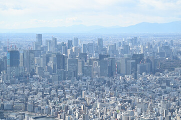 スカイツリーからの東京展望