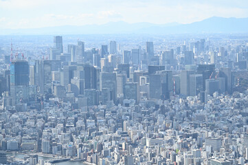 スカイツリーからの東京展望