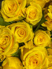 bright yellow spring roses bouquet arrangement, sales display. top down, full frame, vertical shot