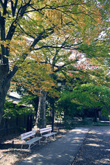 京都の風景