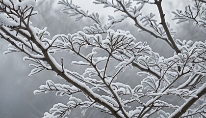 Frosty Tree Branches Under Snowy Skies: A Serene Winter Scene