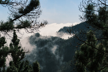 Misty mountain landscape framed by dark pine branches.  Serene and atmospheric, perfect for travel, nature, or environmental themes.  High-resolution image.