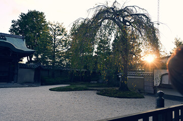 京都の風景
