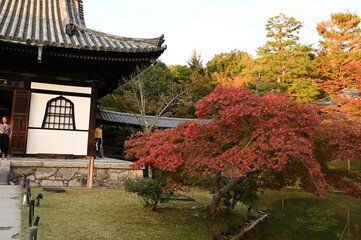 京都の風景