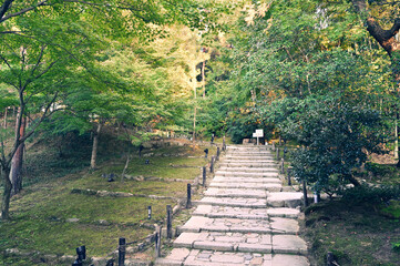 京都嵐山の秋模様