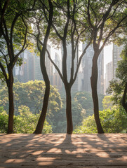 Obraz premium Urban Oasis: Trees frame city skyline view.