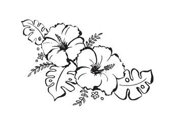 夏の花ハイビスカスのイラスト