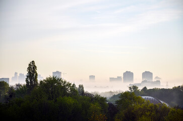 Serene urban skyline emerges through a foggy morning, overlooking lush green trees in the foreground, illustrating tranquility within a dynamic cityscape