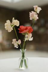Simple floral arrangement in a clear vase with colorful blossoms on a table in a bright indoor setting