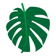 Mostera Tropical Leaf Silhouette Icon, Simple Icon Vector Design, best used for presentation, application, web and banner