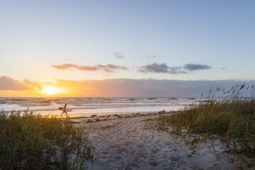 Surfer walking along beach at sunrise in Cocoa Beach, Florida