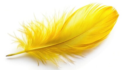 Fototapeta premium A vibrant yellow feather, isolated on a stark white background, minimalist perfection.