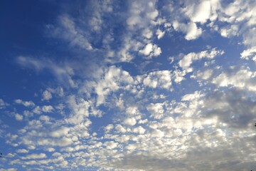 Obraz premium sky and clouds