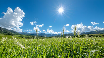 Sunny meadow landscape, mountains background, travel postcard