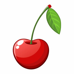 vector illustration of cherry