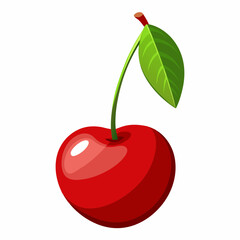 vector illustration of cherry