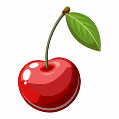 vector illustration of cherry