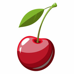 vector illustration of cherry