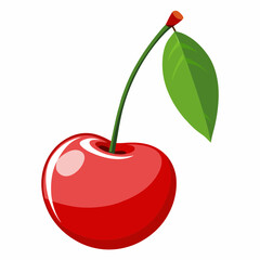 vector illustration of cherry