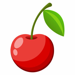 vector illustration of cherry
