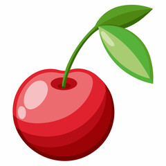 vector illustration of cherry