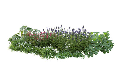 green grass and flowers