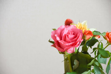 カラフルなばら