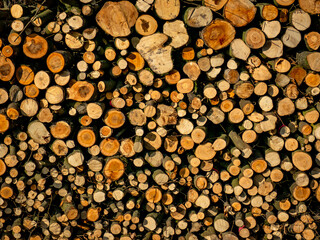 Gestapeltes Brennholz im Freien