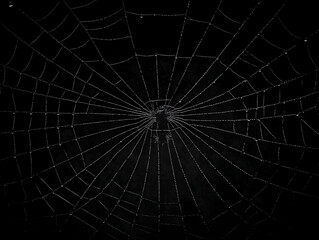 Obraz premium Intricate Spiderweb Glistens with Dewdrops in the Dark of Night