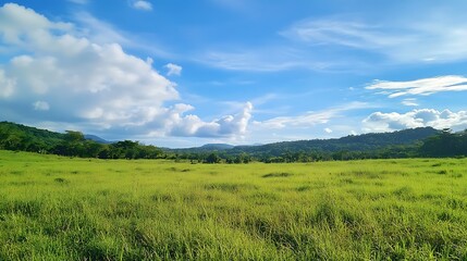 Fototapeta premium Serene Meadow Under a Vast Blue Sky