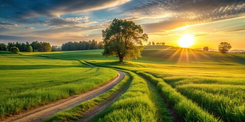 Obraz premium Golden Hour Serenity A Picturesque Country Road Winding Through Lush Green Fields Under a Vibrant Sunset