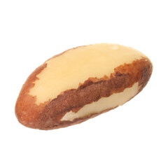 One tasty Brazil nut isolated on white