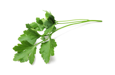 Sprig of fresh parsley isolated on white