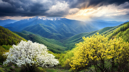 Blooming Trees Illuminate Mountain Valley Under Dramatic Sunset Sky With Lush Greenery