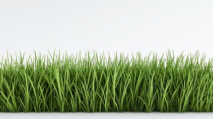 Lush Green Grass Against White Background