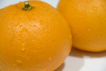 水滴のついた2つのみずみずしいみかん