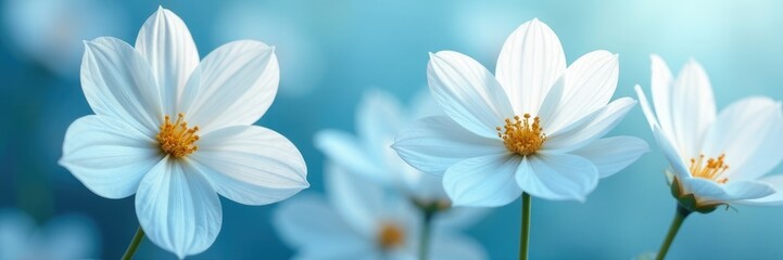 Pale white and blue flower petals gently swaying in a breeze, petals, palewhite