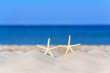 View of a beach with a pair of starfish on the sand under the hot summer sun, selective focus....