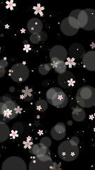 Beautiful wallpaper with dancing cherry blossoms (black)