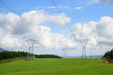 Power pylons and power lines on green meadow. North Island. New Zealand.