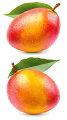 Fototapeta premium Two Ripe Mangoes with Water Droplets and Leaves Isolated on a White Background
